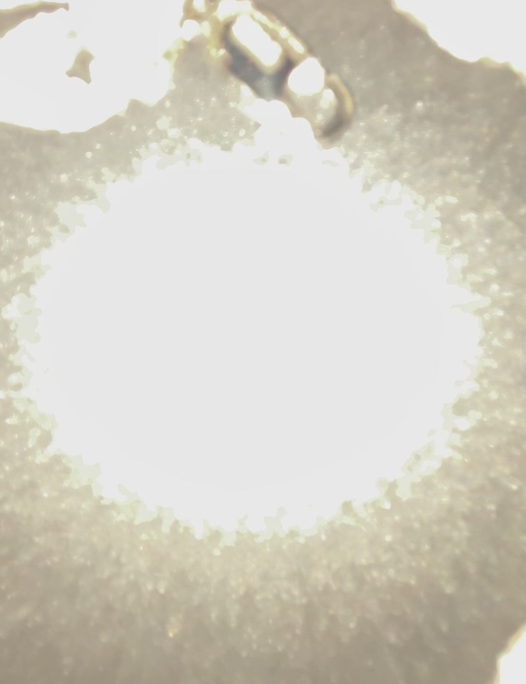 ee85d481a0154ef9bc7c37b0f6fbf569.thumbnail.0000000000.jpg